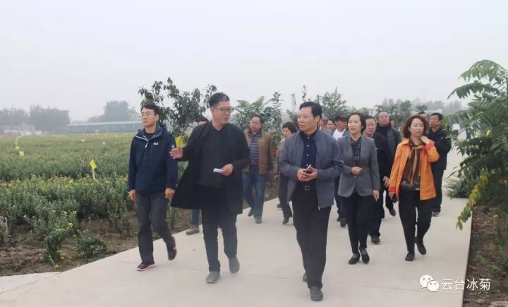 云臺(tái)冰菊基地發(fā)生了什么？一批批領(lǐng)導(dǎo)專家團(tuán)隊(duì)前來！