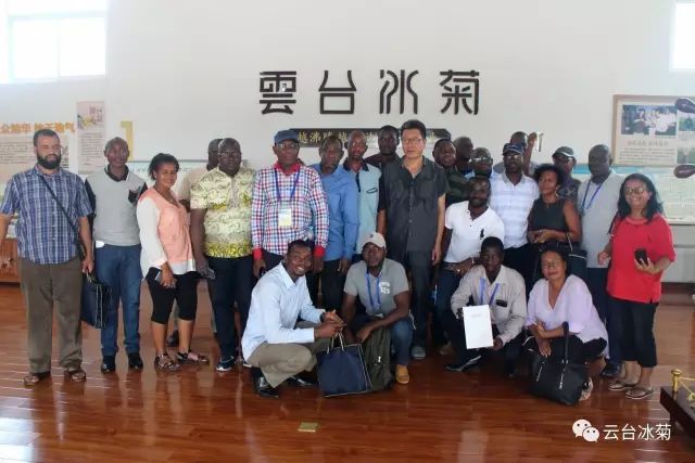 目測(cè)這朵菊花要火，國(guó)外專家為它頻頻而來······