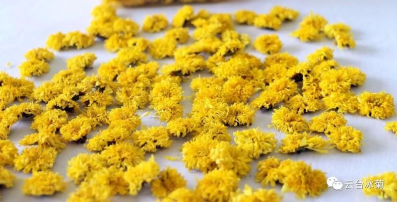 2018，種下希望，靜待花開！